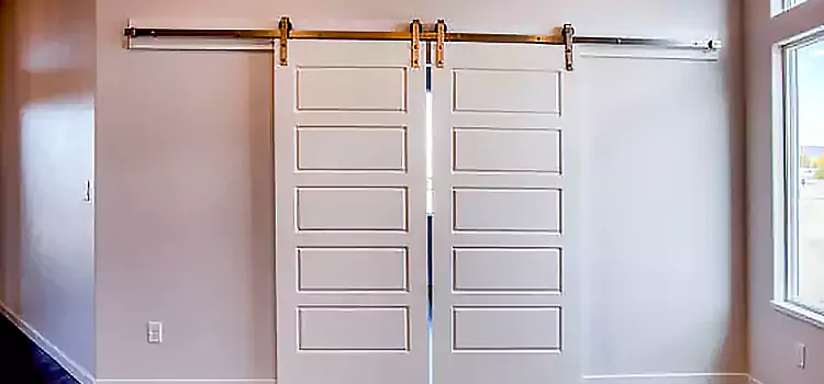 Glass Barn Door with Installation Hardware Kit Arlington