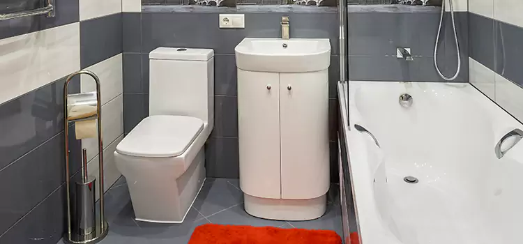 Hansgrohe Shaving Mirror Arlington